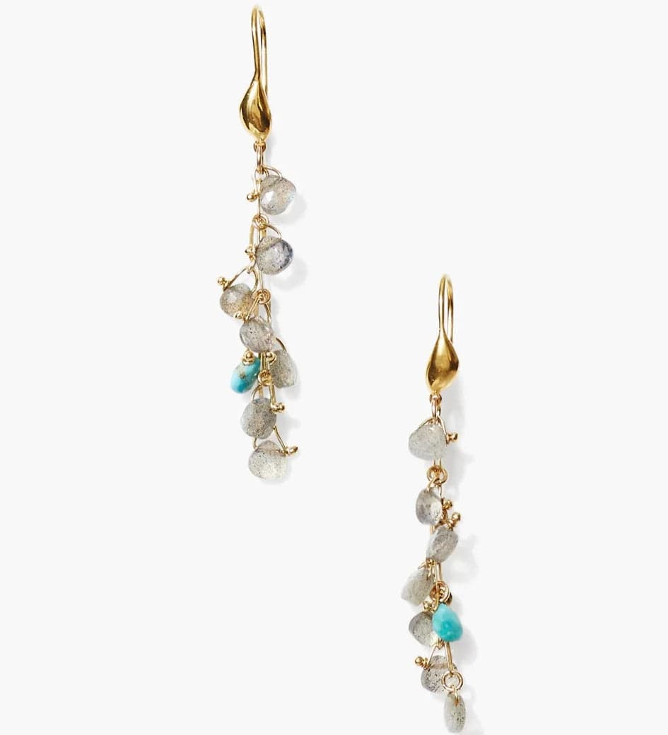 Fashionable Earrings For Bold Fashionistas-Pacifica Earrings Labradorite Mix