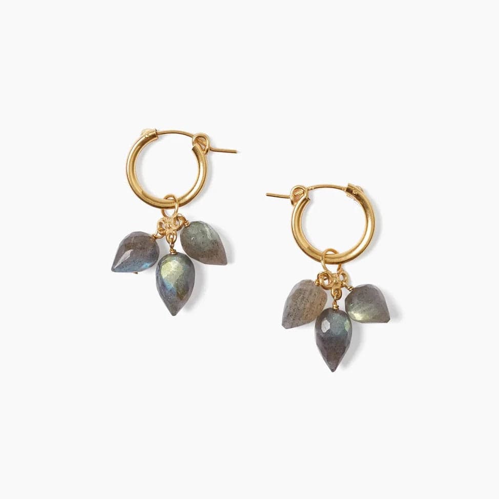 Colorful Stud Earrings For Fun Fashion-Delphine Hoop Earrings Labradorite