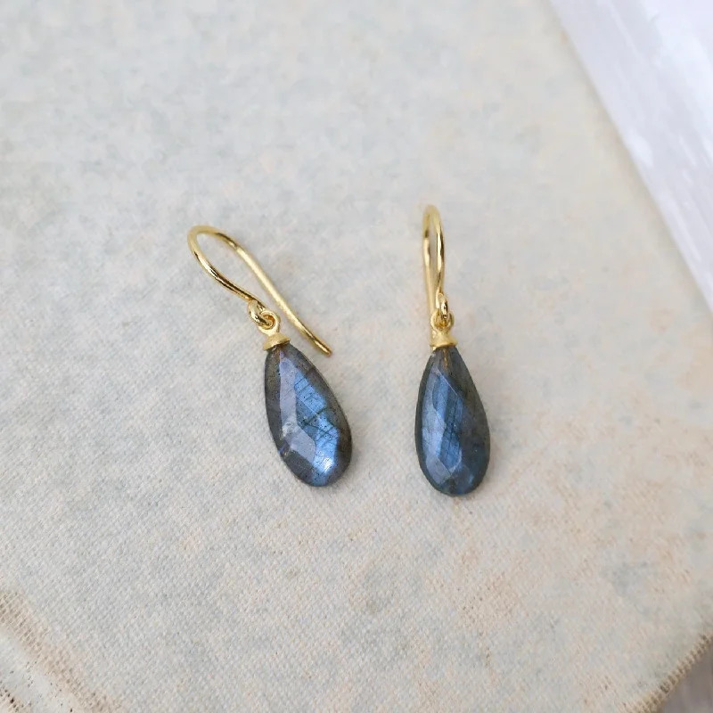 Unique Drop Earrings For Fashion-Forward Style-Wire Faceted Labradorite Earrings