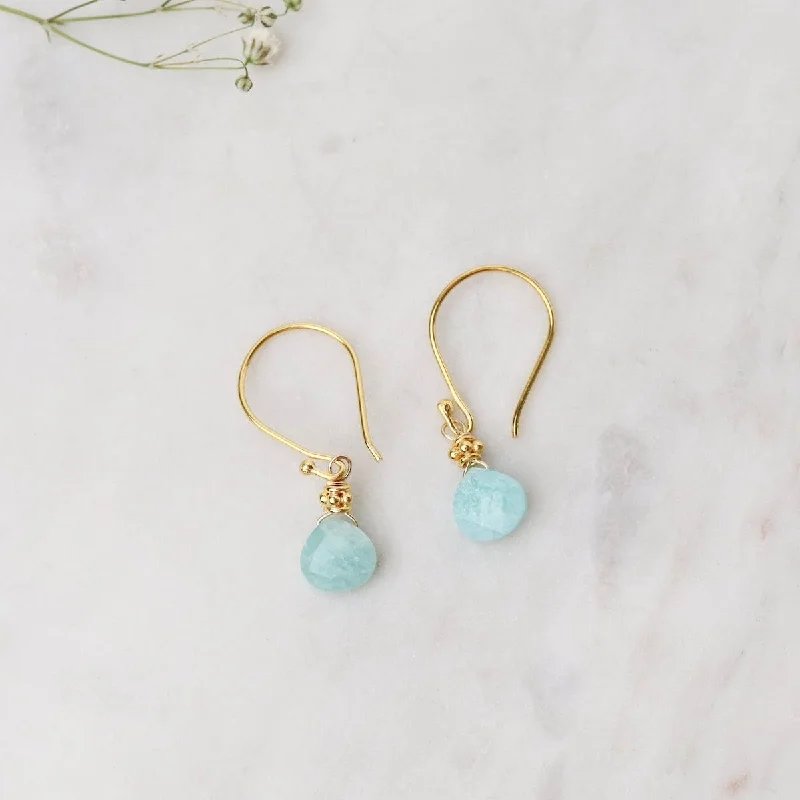 Trendy Resin Earrings For Bold Statements-Tiny Gold Fill Amazonite Earrings