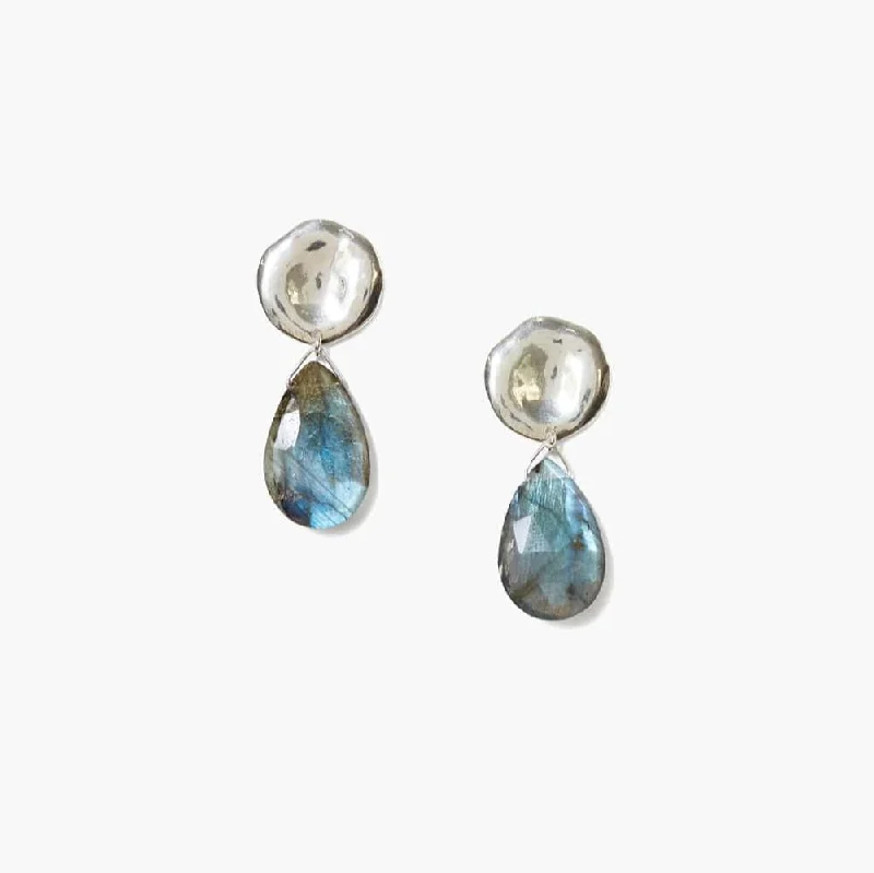 Stunning Gold Earrings For Wedding Days-Yasmine Coin Drop Earrings in Labradorite